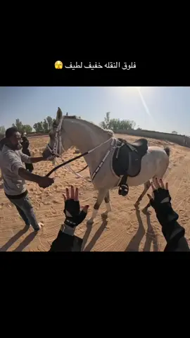 أول مره أسوي فلوق تجربه 🫢 #خيل_وخياله🐎 