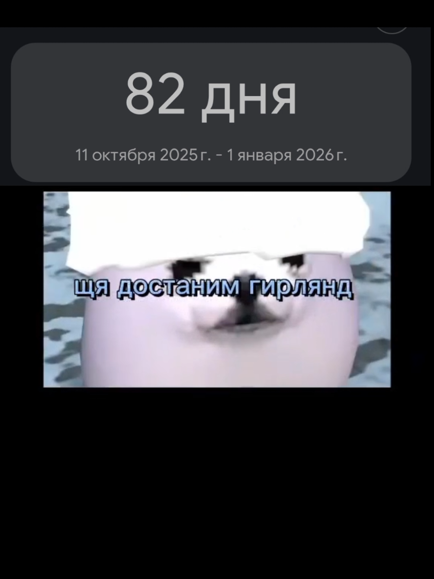 уже скоро🥳 #новыйгод #2026 #82дня 