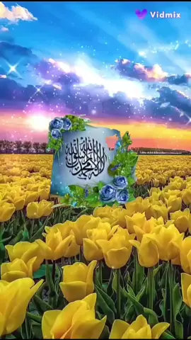 Allah Allah Allah Allah Allah Allah Allah Allah Allah #lslamic_video #tranding #foryoupagе #🌹🕋📿🕌regay_islam🌼🦋🤲 