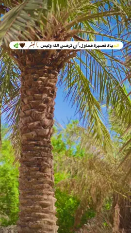 #تصويري_احترافي✔️ #تصميم🔥 🌿🤎