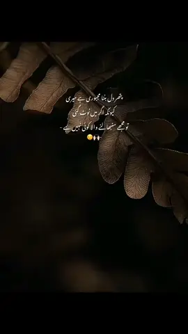 bilkul 💯🍂🙌🖤