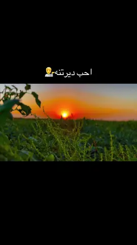 البيت#البصقنه#يبيعونو#اني#احب#ديرتنه#تصويري_احترافي_الاجواء👌🏻🕊😴#تفاعلكم_حتى_أستمر #عباراتكم_الفخمه📿📌 #مالي_خلق_احط_هاشتاقات 💁🫢😔🤎🖤❤️💁
