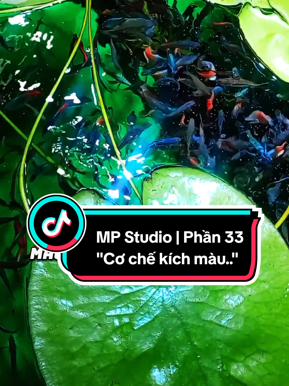 MP Studio | Phần 33 