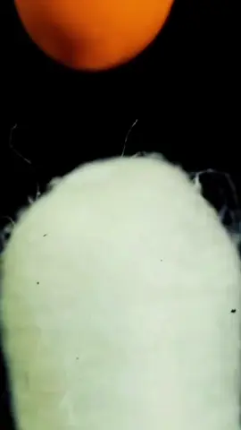 Share&repost #Oddly Satisfying #ASMRVibes #SatisfyingSounds #RelaxingASMR #Tingles