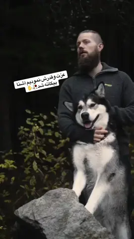 #pyfツ #viralvideos #tik_tok 