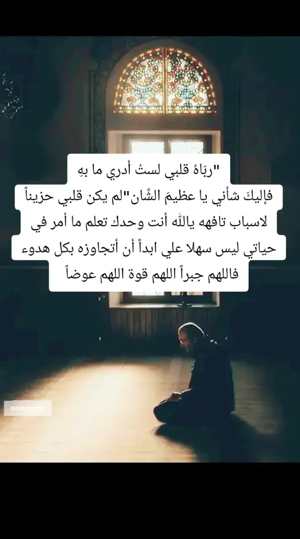 #قران #خواطر_إسلامية_مريحة_💙 #عباراتكم_الفخمه📿📌 #ادعيه_اذكار_تسبيح_دعاء_استغفار #اجبر_قلوبنا_يا_الله #سامحني_يا_الله #لا اله إلا الله محمد رسول لله #فوضت_أمري_لك_وحدك_يَارب 