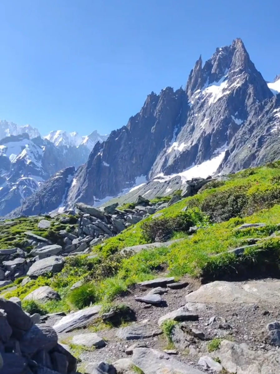 Swiss 
