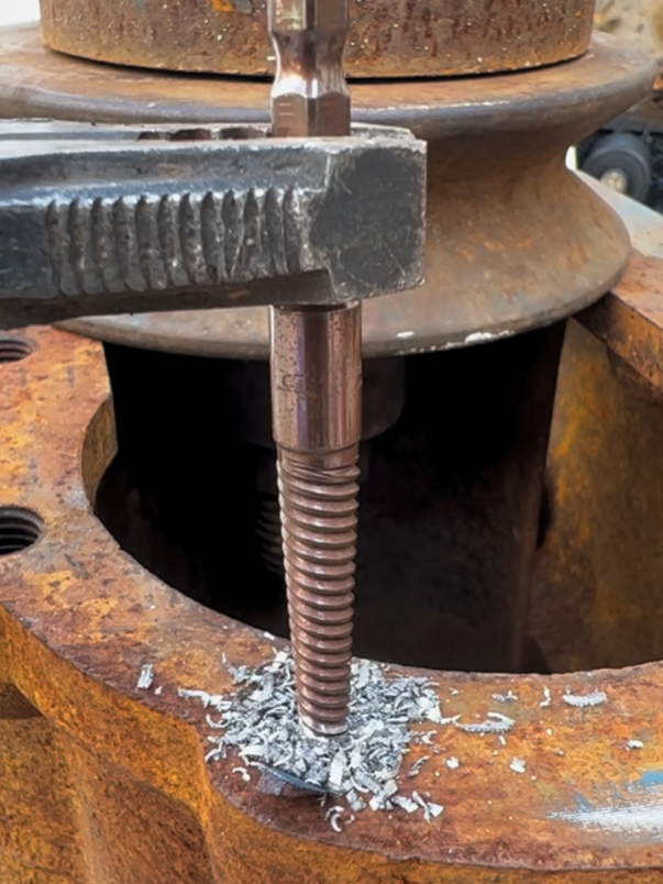 search on TikTok #69 #flower #foryoupast #likе #ep 