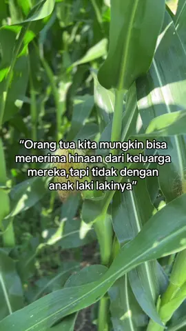 “Anak laki-laki tidak akan diam saat orang tuanya dihina, karena bagi dia, itu soal harga diri dan cinta. #petanimuda indonesia #fyp #fypシ #fypindonesia #videoviral #katakatabijak #quoteskehidupan #katakatamutiarahidup #motivasi #motivasisemangat #familyquotes #anaklaki #harga diri #respectorangtua #inspirasihidup #videobijak #katakatamenyentuh