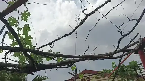 #طويل_الشوق_يبقا_بغترابي🥺 