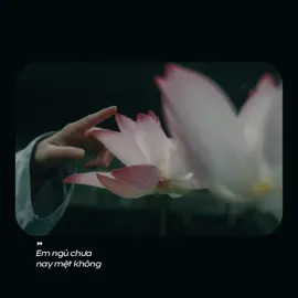 NẾU MỘT NGÀY EM ĐI XUẤT GIA…      Nếu một ngày em đi xuất gia, em sẽ sống một đời thảnh thơi đến lạ, dù sẽ có buồn, có tủi, có khổ đau. Nhưng em ơi, xin em phải nhớ, buổi ban đầu, chí nguyện của chính em.       Đường em đi sẽ là đường cao rộng, nên xin em hãy vững vàng, đừng bỏ cuộc em nha. Hết thảy mọi chuyện đến đi đều có nhân duyên cả, đi qua rồi sẽ dạy em bài học lớn lên.       Nếu em đã chọn đi ngược dòng nhân thế, thì phải bước đến cùng không được bỏ cuộc nghe. Xin chúc em, một mai chân cứng đá mềm, bước qua hết gian nan sóng gió.      Nguyện cho em, tâm kiên cường, không từ bỏ, vượt sóng ba đào, giữ vững chí nguyện thuở ban sơ. - - - - - - - Diệu Ngọc Âm