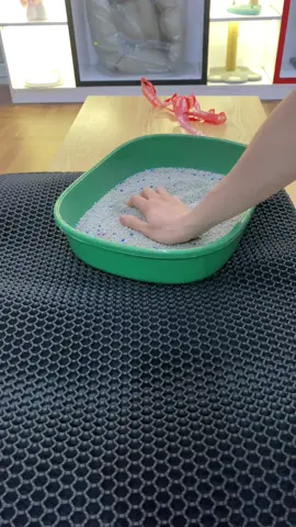 Tấm lót chống văng cát vệ sinh cho mèo , tấm lót chậu cát vệ sinh cho mèo #meocon #cuncondangyeu #pets #xuhuong #viral 