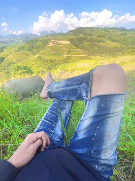 Một nơi bình yên 