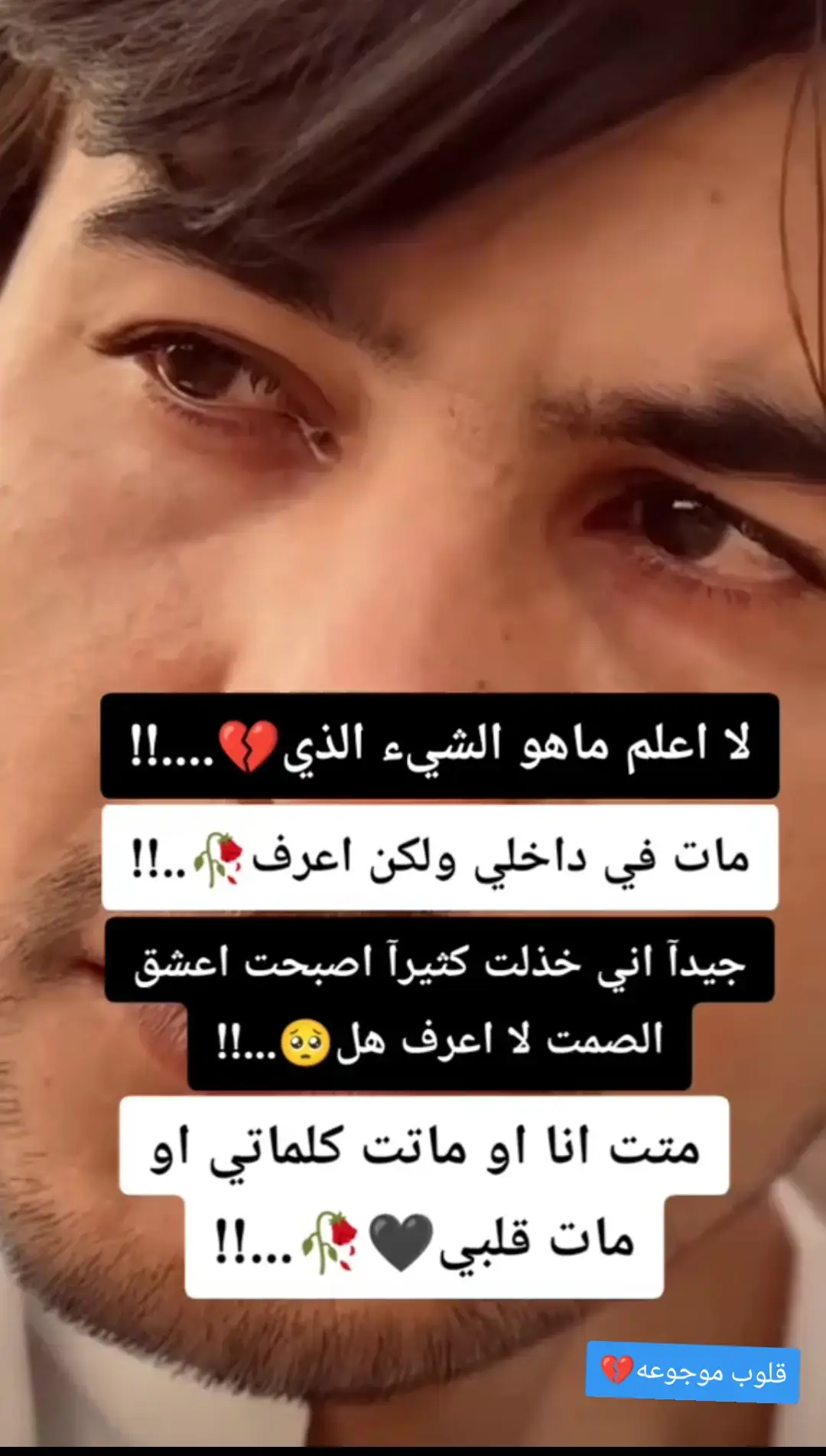 #عبارات#حزينه_وقلبي_مجروح_ #اكسبوررررررررررر💥⭐💥⭐💥🌟✨💥✨💥✨ 