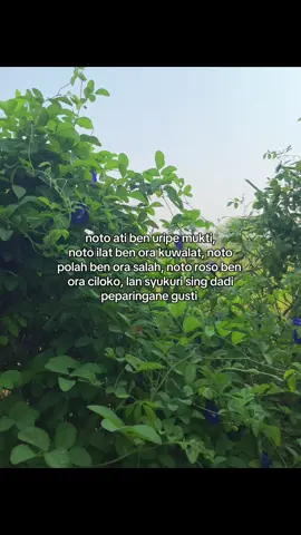 #4u #masukberandafyp #zxycba 