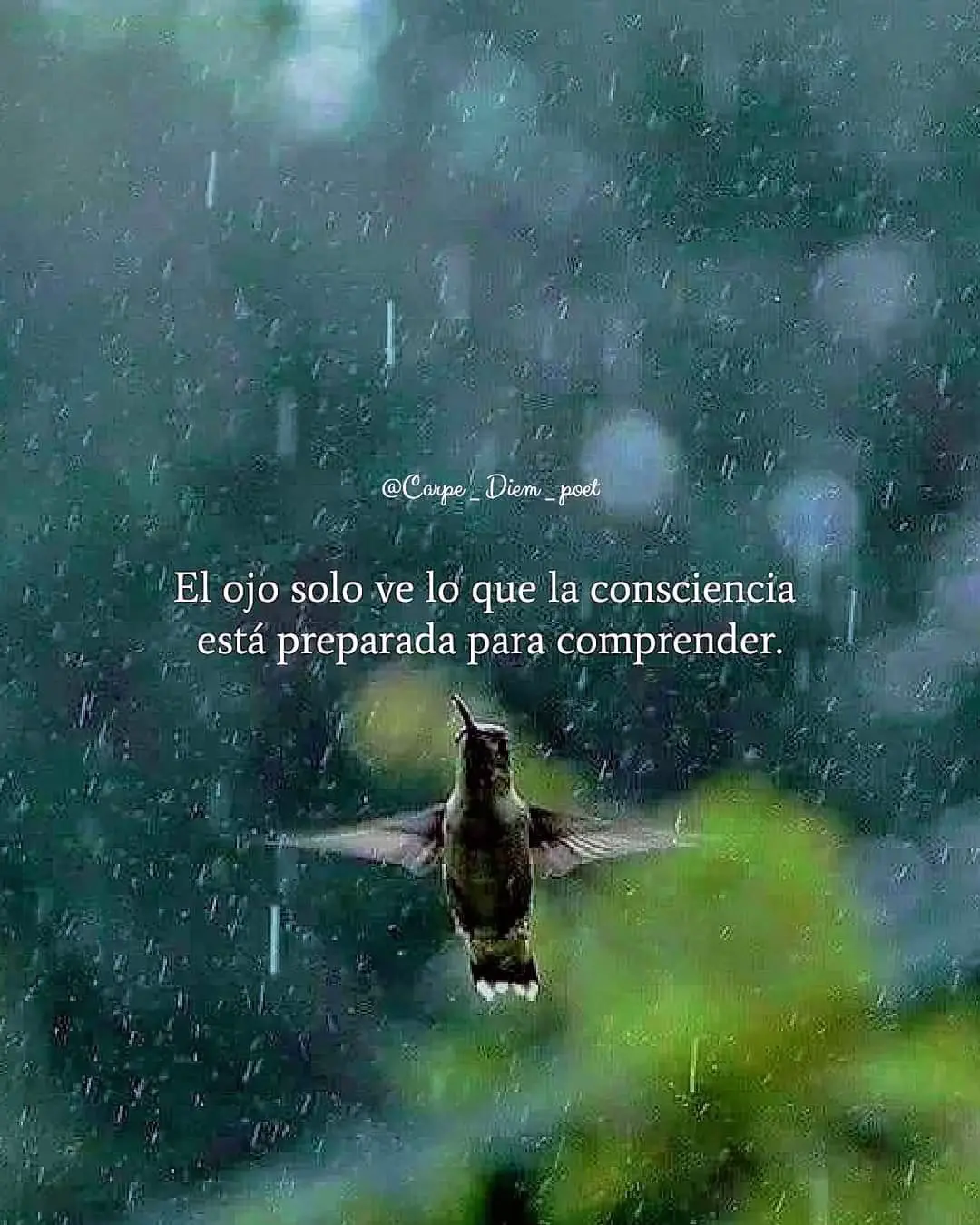#flypシ🤗❤️ #explore #marruecos🇲🇦🇪🇸españa #lluvia 😍😍