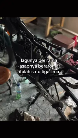 adakah ciri khas lain?#fyp #rxkingnusantara #rxkingindonesia #rxking 