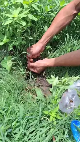 Anh khách daklak đi câu quay video gửi về lên hàng khủng cho 1 siêu phẩm