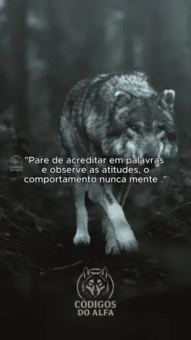 apenas observe  #Sucesso #superação #frases #motivação #MentalidadeAlfa 