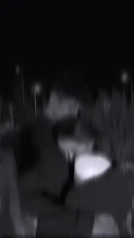 شتقتلك سالي كل نجمه بسما#تصاميم_حسون 