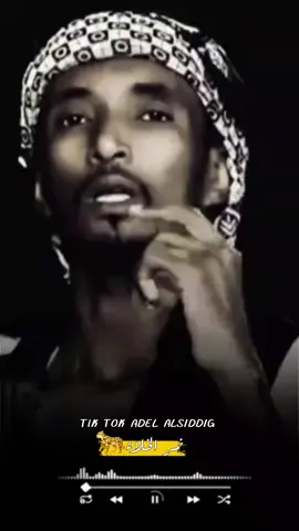 #الشاعر_محمد_ودامنه #شعراء_وذواقين_الشعر_الشعبي #سودانيز_تيك_توك_مشاهير_السودان🇸🇩 #تصميم_فيديوهات🎶🎤🎬 