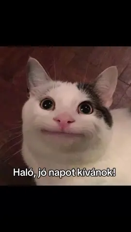 TeNyÉsZtÉsRe SzErEtNéM ElŐáLlÍtAnI #pusztuljonforyouba #hun #repost #fyy #forupage 