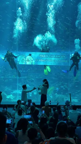 Cầu hôn tại Vinwonder Phú Quốc, Chúc Mừng Anh Chị ❤️ #rilphuquoc #PhotographerPhuQuoc #cauhon #vinwondersphuquoc 