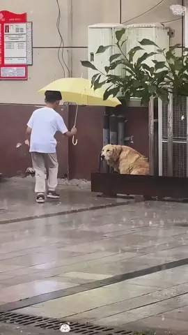Cute baby take care of dogs ❤️🥰#baby #dog #friends #Love #puppy 