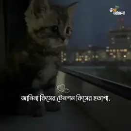 -জানিনা কিসের টেনশন কিসের হতাশা..  #unfrezzmyaccount #fyyyyyyppppppppp #moreveiws #tiktok #foruyou @For You @TikTok Bangladesh @Creator Portal Bangla @TikTok @TikTok Creators Vietnam 