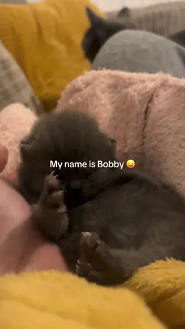 My name is Bobby (pickle) 😛