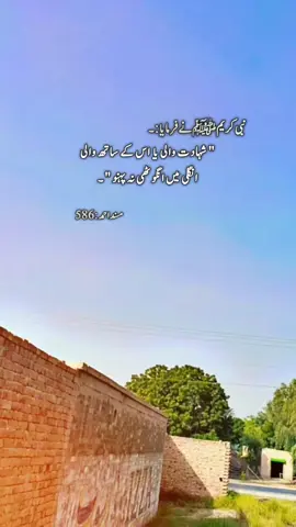 پیارے بھائیو آج کل بہت زیادہ لوگ شہادت والی انگلی میں انگوٹھی پہنتے ہیں مہربانی کر کے نہ پہنا کرو ۔🍂🌼 . . . . #islamic_video #tiktok #viralvideo#unfreezemyacount #tiktok 