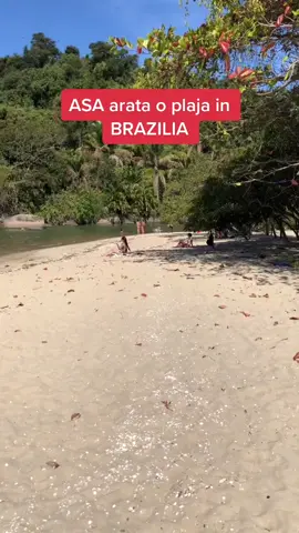 Asa arata plajele in Brazilia #romania #brazilia #romaniaviral #fyp