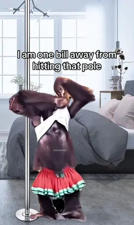 We are almost there folks 😭 #fypシ #fyp #vibes #explore 