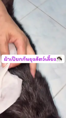 #BUXAWAY #ผ้าเปียกกันยุง #สัตว์โลกน่ารัก 