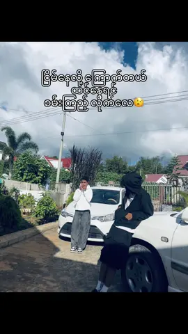 တစ်မျိုးလုံးပြာချပလိုက်မယ်#fyp #foryoupage #livephoto #views #fyp 