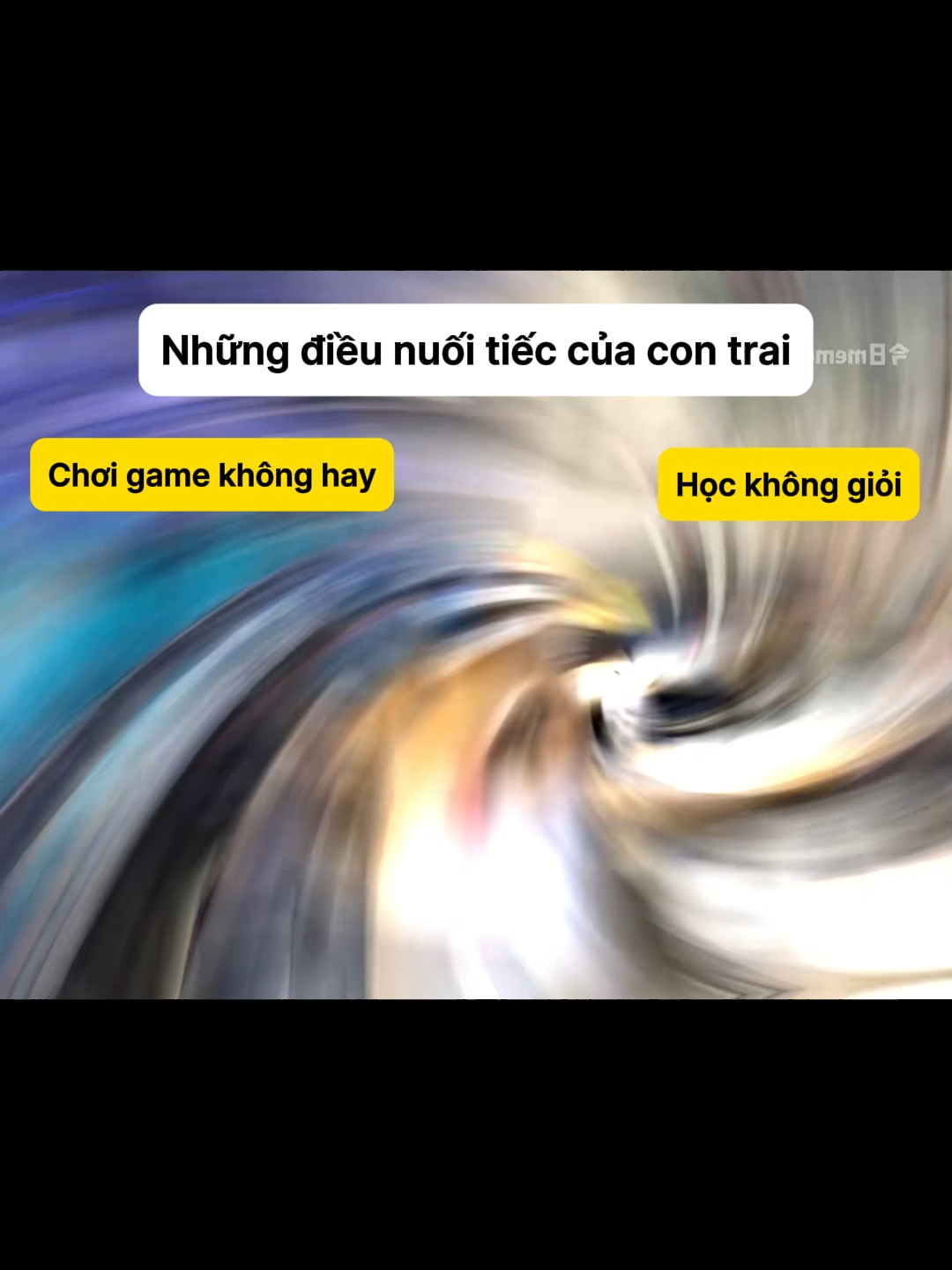 Những điều nuối tiếc nhất của con trai là gì #meme #catmemes #pets #cat