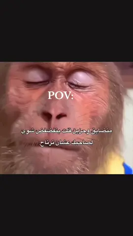 من الاكسبلور تابعنا ♥️ 