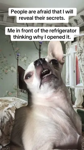 I can’t even remember what I had for breakfast  #Meme #MemeCut #Meme #MemeCut 