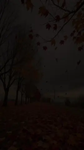 فصل الخريف سيد الفصول، فهو بعض من صحو الربيع، وبعض من حر الصيف، وبعض من برد الشتاء الدافئ، وكذلك هو الوحيد القادر على شحن الذات وروحك بشتى أنواع المشاعر والأحاسيس في آن معاً