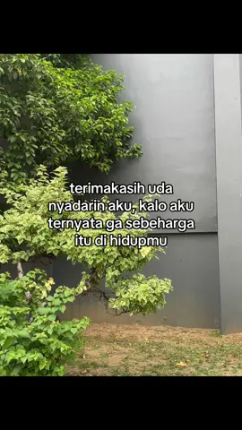 #galaubrutal 