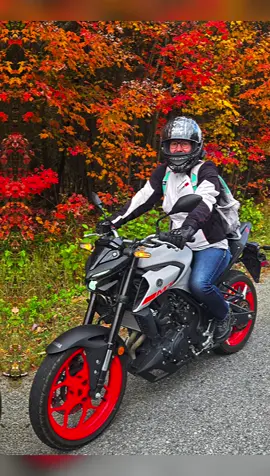 Autumn ride #fallcolors #yamaha #motorcycle  #hisandhers #motorcyclesoftiktok 