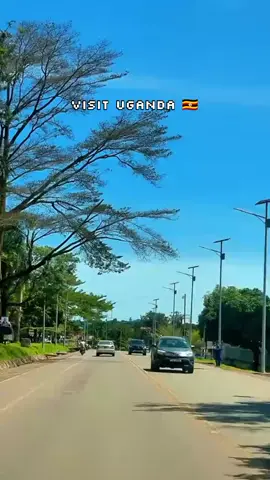 Get into an awe-inspiring adventure as you unfold Uganda's natural beauty! #trending #nature #africa #fyp #adventure 