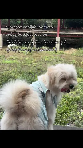 ဘယ်သူပေါ်မှမျှော်လင့်ချက်မထားတာကောင်းတယ်#tiktokmyanmar🇲🇲 #fyppppppppppppppppppppppp #မဖလုတ်နဲ့ကွာ☹ #အာမပေးကြတော့ဘူးလား 