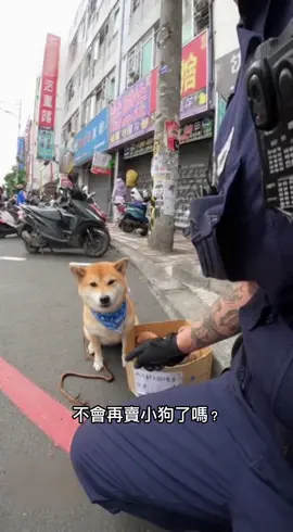 又是你！當街賣小孩🤣🤣🤣