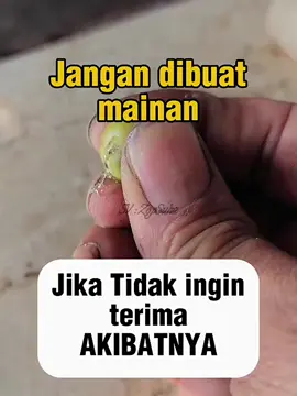 boleh di coba..