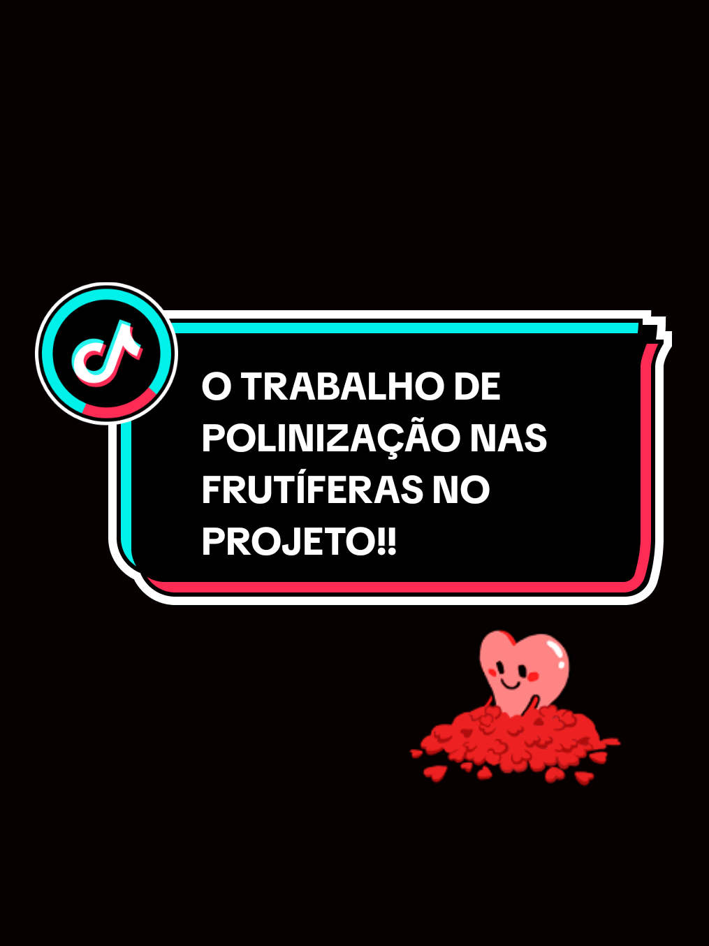 O TRABALHO DAS ABELHAS NA POLINIZAÇÃO NO PROJETO!!#projetoalfaeomega #dependentequimico #moradorderua #projetoquemsoueu #moringa @MISSIONÁRIO PAULO 