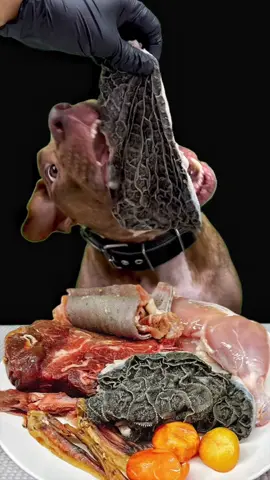 泡立つよだれ🤣 @BounceThePitbullﾊﾞｳﾝｽﾁｬﾝﾈﾙ🇯🇵 