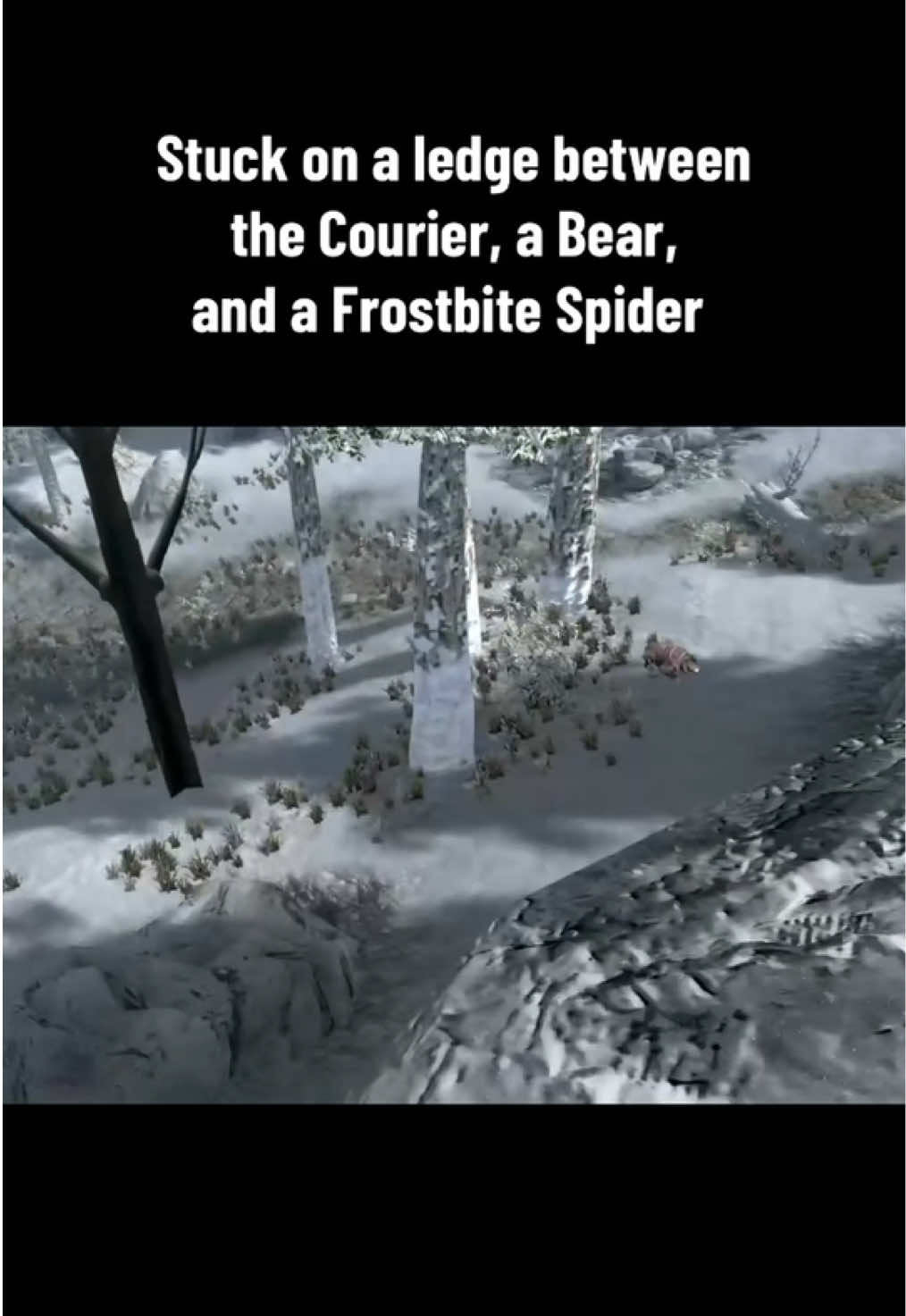 #skyrim #skyrimtiktok #skyrimmemes #skyrimmods #skyrimanniversaryedition 