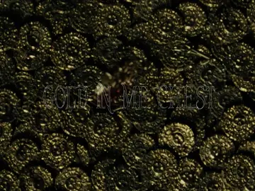 Pirated these clips - song @Silly Stu #piratesofthecaribbean #edit #parody #jacksparrow 