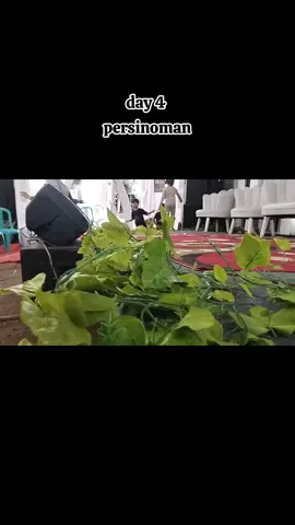 #hajatan #pernikahan